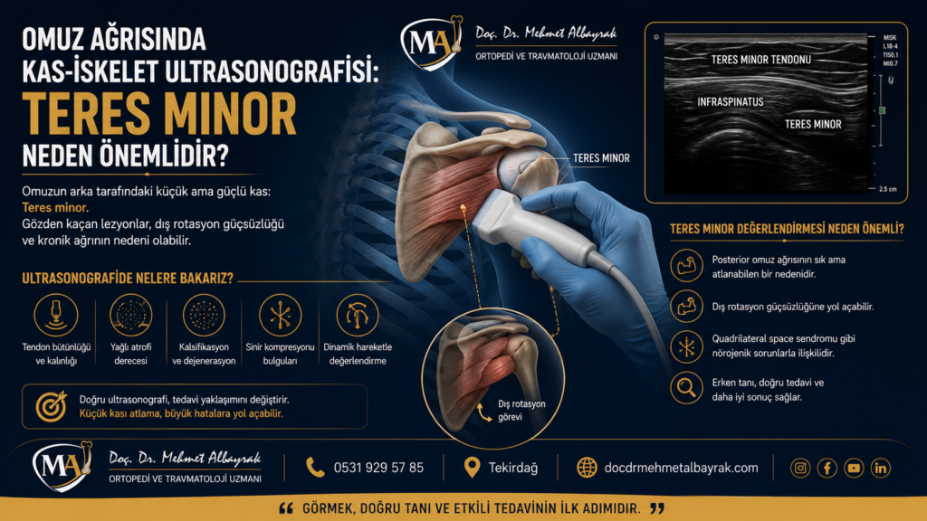 Omuz Ağrısında Kas-İskelet Ultrasonografisi: Teres Minor Neden Önemlidir?